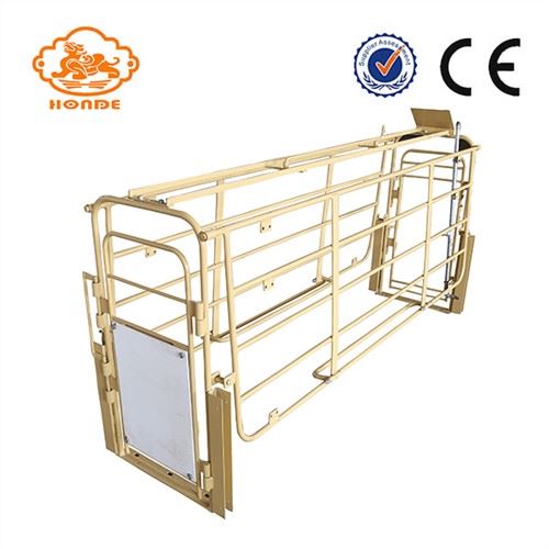 Heo con mạ kẽm farrowing thùng