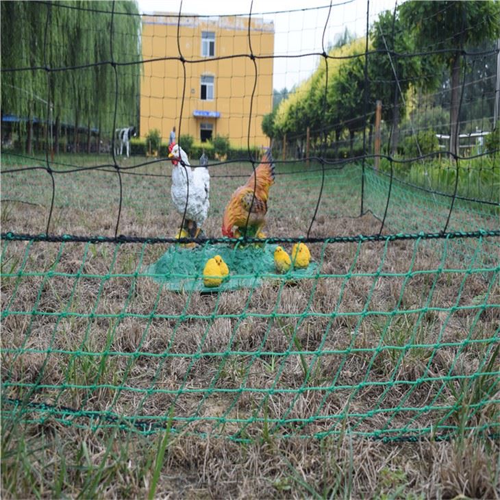 Powerfull Electric Poultry Pen Netting