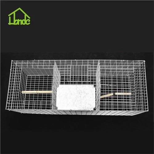 Thiết kế lồng bẫy chim sống hiệu quả