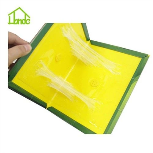 Bẫy keo chuột chuột chuyên nghiệp