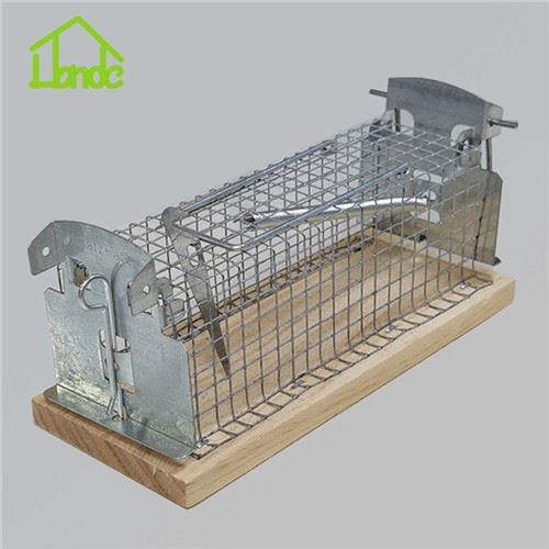 Bẫy lồng chuột Bẫy động vật sống