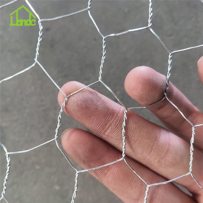 Lowest Price Chicken Wire Mesh Roll