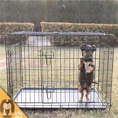 Gấp lồng thú cưng để vận chuyển