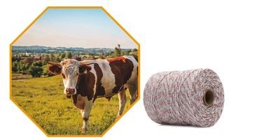 electric fence with cattle